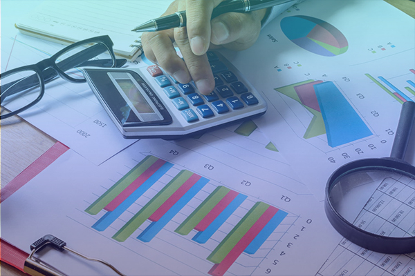 Sciences Économiques et Gestion